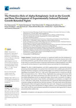 The Protective Role of Alpha-Ketoglutaric Acid on the Growth and Bone Development of Experimentally Induced Perinatal Growth-Retarded Piglets