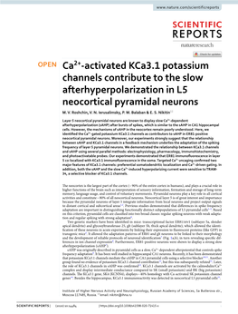 Ca2+-Activated Kca3.1 Potassium Channels Contribute to the Slow