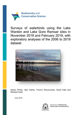 Surveys of Waterbirds Using the Lake Warden and Lake Gore Ramsar Sites in November 2018 and February 2019, with Exploratory Analyses of the 2006 to 2019 Dataset