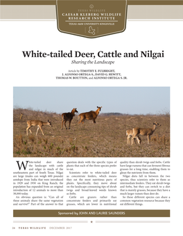 White-Tailed Deer, Cattle and Nilgai Sharing the Landscape