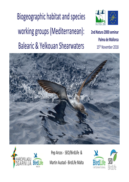 Balearic & Yelkouan Shearwaters