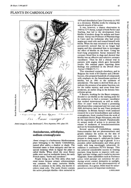 Plants in Cardiology