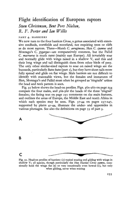 Flight Identification of European Raptors Steen Christensen, Bent Pars Nielsen, R