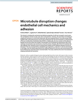 Microtubule Disruption Changes Endothelial Cell Mechanics and Adhesion Andreas Weber1*, Jagoba Iturri1, Rafael Benitez2, Spela Zemljic-Jokhadar3 & José L