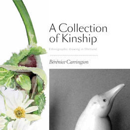 A Collection of Kinship