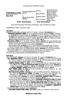 Consigned by Hayestown House Starspangledbanner (AUS