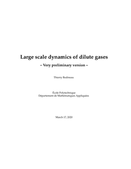 Large Scale Dynamics of Dilute Gases – Very Preliminary Version –