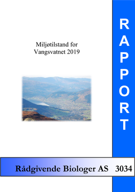 Miljøtilstand for Vangsvatnet 2019