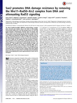 Sae2 Promotes DNA Damage Resistance by Removing the Mre11–Rad50–Xrs2 Complex from DNA and Attenuating Rad53 Signaling