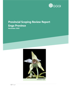 Provincial Scoping Review Report Enga Province November 2020