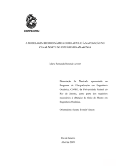 I COPPE/UFRJ a MODELAGEM HIDRODINÂMICA COMO AUXÍLIO