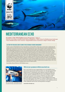 Mediterranean Echo