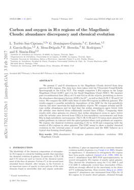 Carbon and Oxygen in H II Regions of the Magellanic Clouds