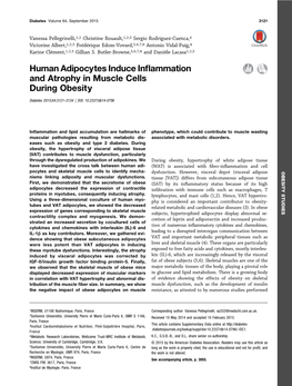 Human Adipocytes Induce Inflammation And