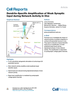 Dendrite-Specific Amplification of Weak Synaptic Input During