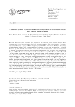 Costamere Protein Expression and Tissue Composition of Rotator Cuff Muscle After Tendon Release in Sheep