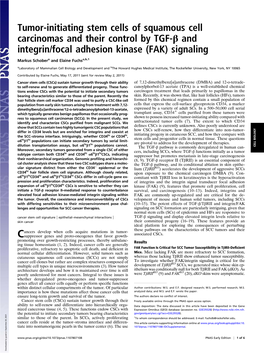 Tumor-Initiating Stem Cells of Squamous Cell Carcinomas and Their Control by TGF-Β and Integrin/Focal Adhesion Kinase (FAK) Signaling