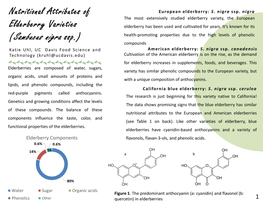 Nutritional Attributes of Elderberry Varieties (Sambucus Nigra Ssp.)