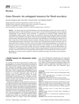 Grass Flowers: an Untapped Resource for Floral Evo-Devo