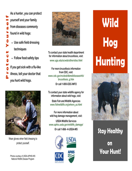 Wild Hog Hunting