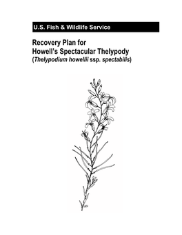 Recovery Plan for Howell's Spectacular Thelypody