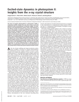 Excited-State Dynamics in Photosystem II: Insights from the X-Ray Crystal Structure