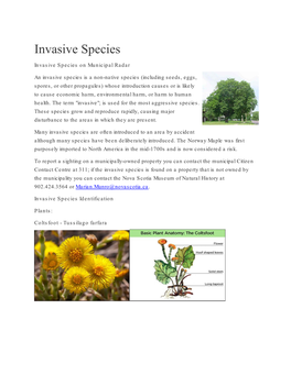 Invasive Species