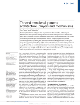 Three-Dimensional Genome Architecture: Players and Mechanisms