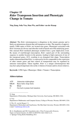 Rider Transposon Insertion and Phenotypic Change in Tomato