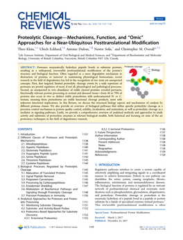 Proteolytic Cleavage—Mechanisms, Function