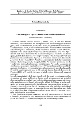 Una Strategia Di Sopravvivenza Della Saturnia Pavoniella (Insecta Lepidoptera Saturniidae)