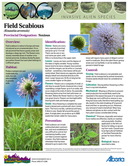 Field Scabious Resource Development (Knautia Arvensis) Provincial Designation: Noxious