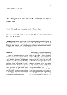 The Lichen Genus Coccocarpia from the Andaman and Nicobar Islands, India