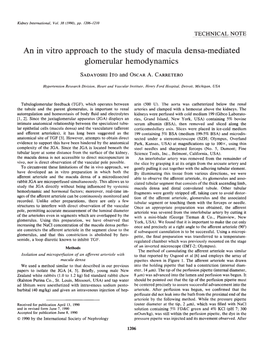 An in Vitro Approach to the Study of Macula Densa-Mediated Glomerular Hemodynamics