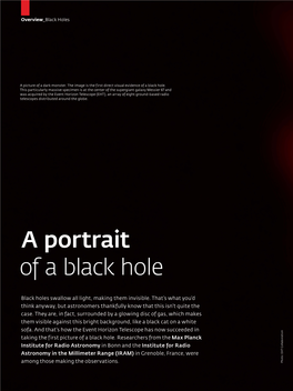 A Portrait of a Black Hole