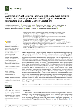 Consortia of Plant-Growth-Promoting Rhizobacteria Isolated from Halophytes Improve Response of Eight Crops to Soil Salinization and Climate Change Conditions