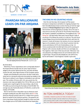 Pharoah Millionaire Leads On-Par Arqana