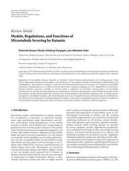 Models, Regulations, and Functions of Microtubule Severing by Katanin