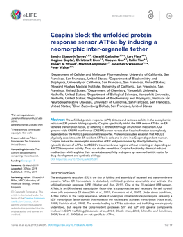Ceapins Block the Unfolded Protein Response Sensor Atf6a by Inducing a Neomorphic Inter-Organelle Tether