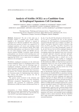 Analysis of Sciellin (SCEL) As a Candidate Gene in Esophageal Squamous Cell Carcinoma