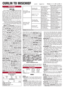 Race Record Sire Line Family Stud Analysis