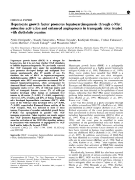 Hepatocyte Growth Factor Promotes Hepatocarcinogenesis Through C-Met Autocrine Activation and Enhanced Angiogenesis in Transgenic Mice Treated with Diethylnitrosamine