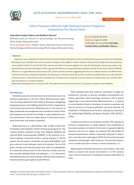 Culture Parameters Affect the Light Emitting Property of Organisms Isolated from Two Marine Fishes