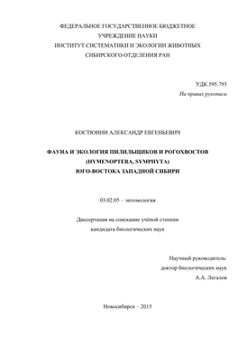 Dissertation Kostynin A.E..Pdf