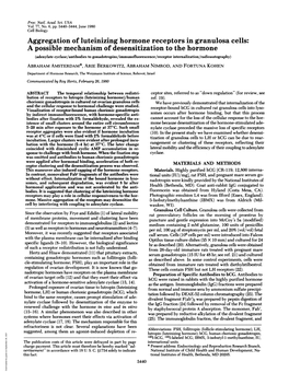 Aggregation of Luteinizing Hormone Receptors in Granulosa Cells