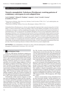 Toward a Monophyletic Notholaena (Pteridaceae): Resolving Patterns of Evolutionary Convergence in Xeric-Adapted Ferns