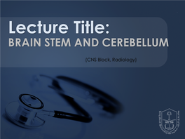 1) Brainstem and Cerebellum