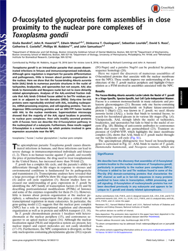 O-Fucosylated Glycoproteins Form Assemblies in Close Proximity to the Nuclear Pore Complexes of Toxoplasma Gondii