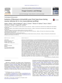 Isolation of Blastomyces Dermatitidis Yeast from Lung Tissue During Murine Infection for in Vivo Transcriptional Proﬁling