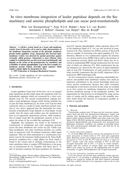 In Vitro Membrane Integration of Leader Peptidase Depends on The